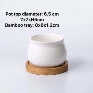 Succulent ceramic pot with bamboo tray